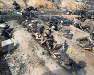 NEWS - Pakistan: Mehr als 140 Menschen sterben bei Tanklaster-Explosion