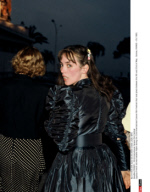 FRANCE : 33rd International Cannes Film Festival