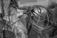 REPORTAGE - Ein Tag im Leben eines Cowboys