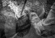 REPORTAGE - Ein Tag im Leben eines Cowboys