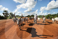 REPORTAGE - Hungersnot im Südsudan