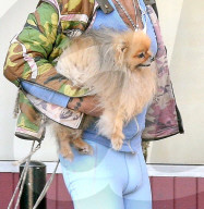 PEOPLE - Mickey Rourke schleppt seinen Fiffi ins Gym
