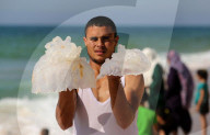 FEATURE - Quallen haben Hochsaison im Gazastreifen