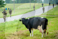NEWS - Litauen: NATO-Soldaten üben möglichen Angriff von Russland
