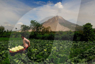 NEWS - Indonesien: Vulkan Sinabung spuckt wieder Asche und Lava