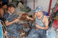 NEWS - Irak: Mossul ist vom IS befreit