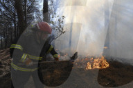 NEWS - Italien: Waldbrände am Vesuv bei Neapel