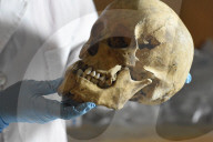 NEWS - Mexiko City: 461 Totenschädel im Templo Mayor entdeckt