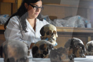 NEWS - Mexiko City: 461 Totenschädel im Templo Mayor entdeckt