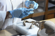 NEWS - Mexiko City: 461 Totenschädel im Templo Mayor entdeckt