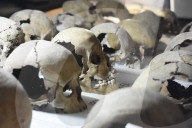 NEWS - Mexiko City: 461 Totenschädel im Templo Mayor entdeckt