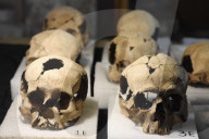 NEWS - Mexiko City: 461 Totenschädel im Templo Mayor entdeckt