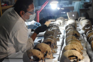 NEWS - Mexiko City: 461 Totenschädel im Templo Mayor entdeckt
