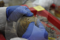 NEWS - Mexiko City: 461 Totenschädel im Templo Mayor entdeckt
