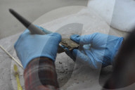 NEWS - Mexiko City: 461 Totenschädel im Templo Mayor entdeckt