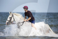NEWS - Norfolk: Die britische Gardekavallerie trainiert am Strand