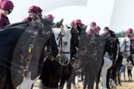 NEWS - Norfolk: Die britische Gardekavallerie trainiert am Strand