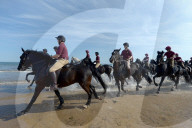 NEWS - Norfolk: Die britische Gardekavallerie trainiert am Strand
