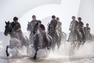 NEWS - Norfolk: Die britische Gardekavallerie trainiert am Strand
