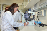 PEOPLE - Herzogin Catherine und Prinz William beim Besuch des Marktes in Heidelberg 