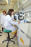 PEOPLE - Herzogin Catherine und Prinz William beim Besuch des Marktes in Heidelberg 