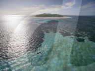 FEATURE - Buckelwale in Tonga 