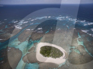 FEATURE - Buckelwale in Tonga 