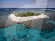 FEATURE - Buckelwale in Tonga 
