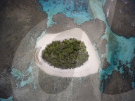 FEATURE - Buckelwale in Tonga 