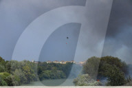 NEWS - Dürre im Süden: Feuer auch in Rom