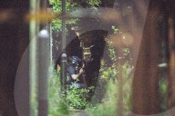 NEWS - Manchester: Geiselnehmer hält Polizie in Atem