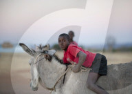 FEATURE - Menschen mit ihren Tieren