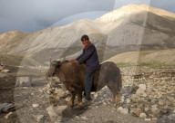 FEATURE - Menschen mit ihren Tieren