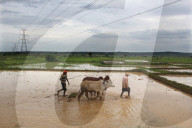 FEATURE - Die Bilder der Woche