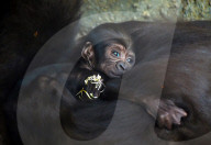 FEATURE - Die Bilder der Woche