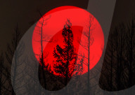 NEWS - Kanada: Waldbrände in British-Columbia