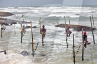 FEATURE - Sri Lanka: Fischen in Koggala