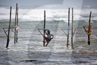 FEATURE - Sri Lanka: Fischen in Koggala
