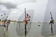 FEATURE - Sri Lanka: Fischen in Koggala