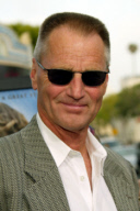 Sam Shepard 1943 - 2017 American Actor