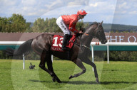 FEATURE - Ein Hauch von Ascot: Qatar Goodwood Pferderennen in West Sussex