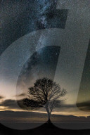 FEATURE - Neuer Fotoband zeigt zauberhafte Impressionen aus Yorkshire