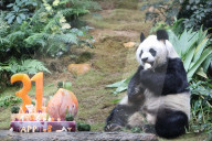 FEATURE - Die Bilder der Woche