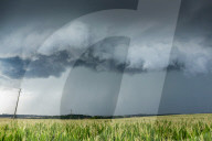 FEATURE - Die Bilder der Woche