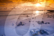 FEATURE - Die Bilder der Woche