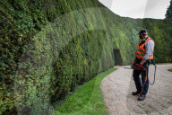 FEATURE - Weltgrösste Hecke wird gestutz