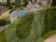 FEATURE - Weltgrösste Hecke wird gestutz
