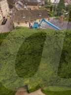 FEATURE - Weltgrösste Hecke wird gestutz