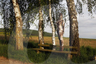 FEATURE - Körper der Natur angepasst: Bodypainting