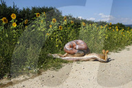 FEATURE - Körper der Natur angepasst: Bodypainting